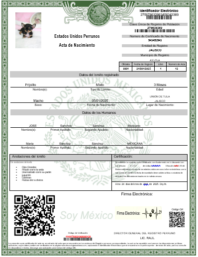 ACTA DE NACIMIENTO PARA LOMITO (DIGITAL) - Imagen 2